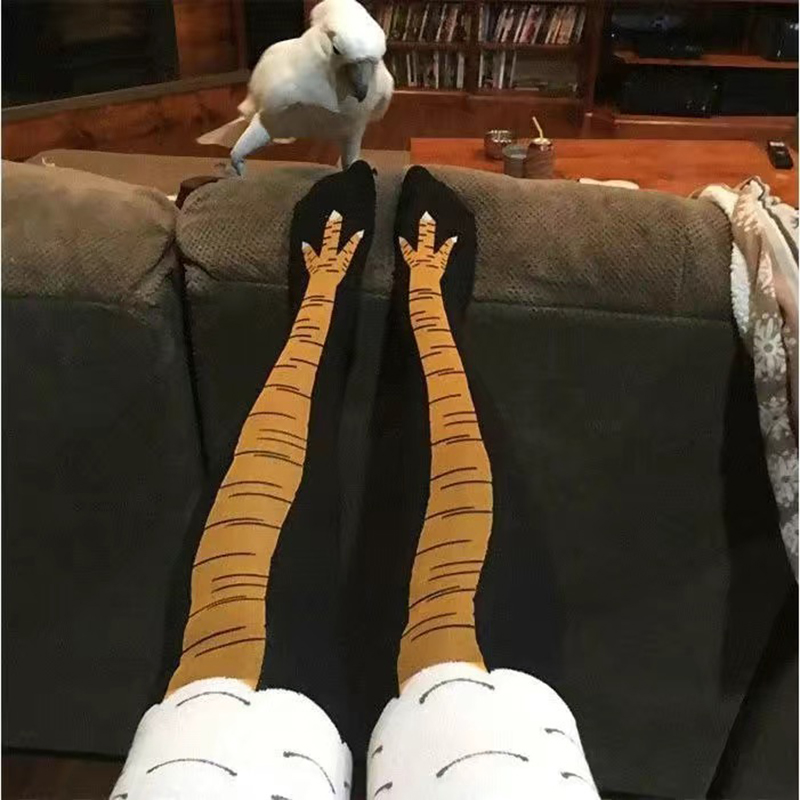 Chaussettes longues pour femme - Funny Chicken Leg Socks avis et prix