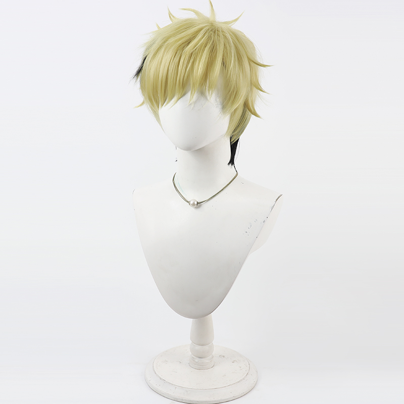 Vantacrow Bringer Cosplay perr - Anime Cosplay Wig Heat Resistant avis et prix
